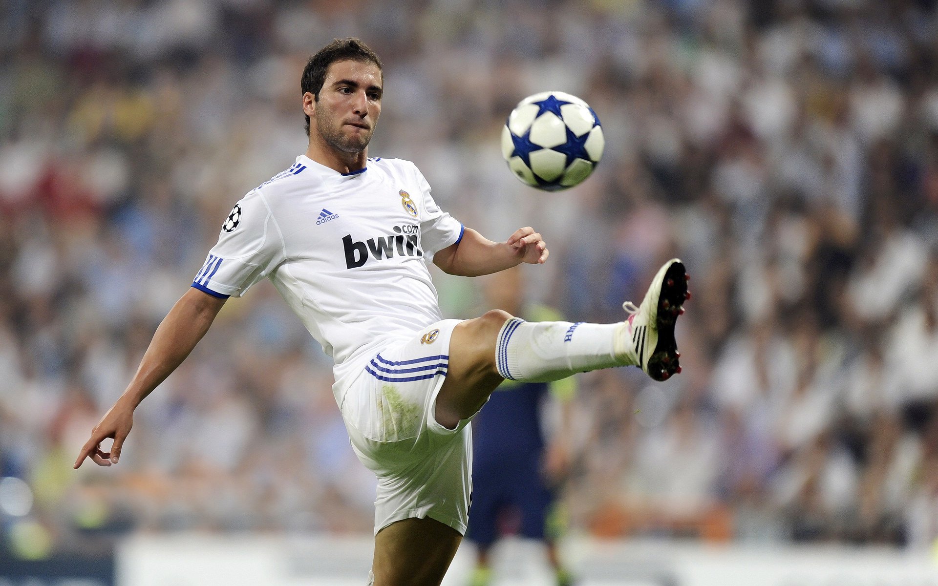 勇士碾压福建队，武切维奇惊艳四座，一场技术与意志的完美融合